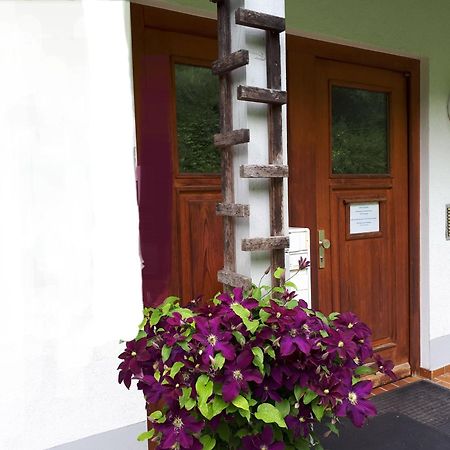 Ferienapartment 38 Sonnenwald Oberlangfurth 외부 사진
