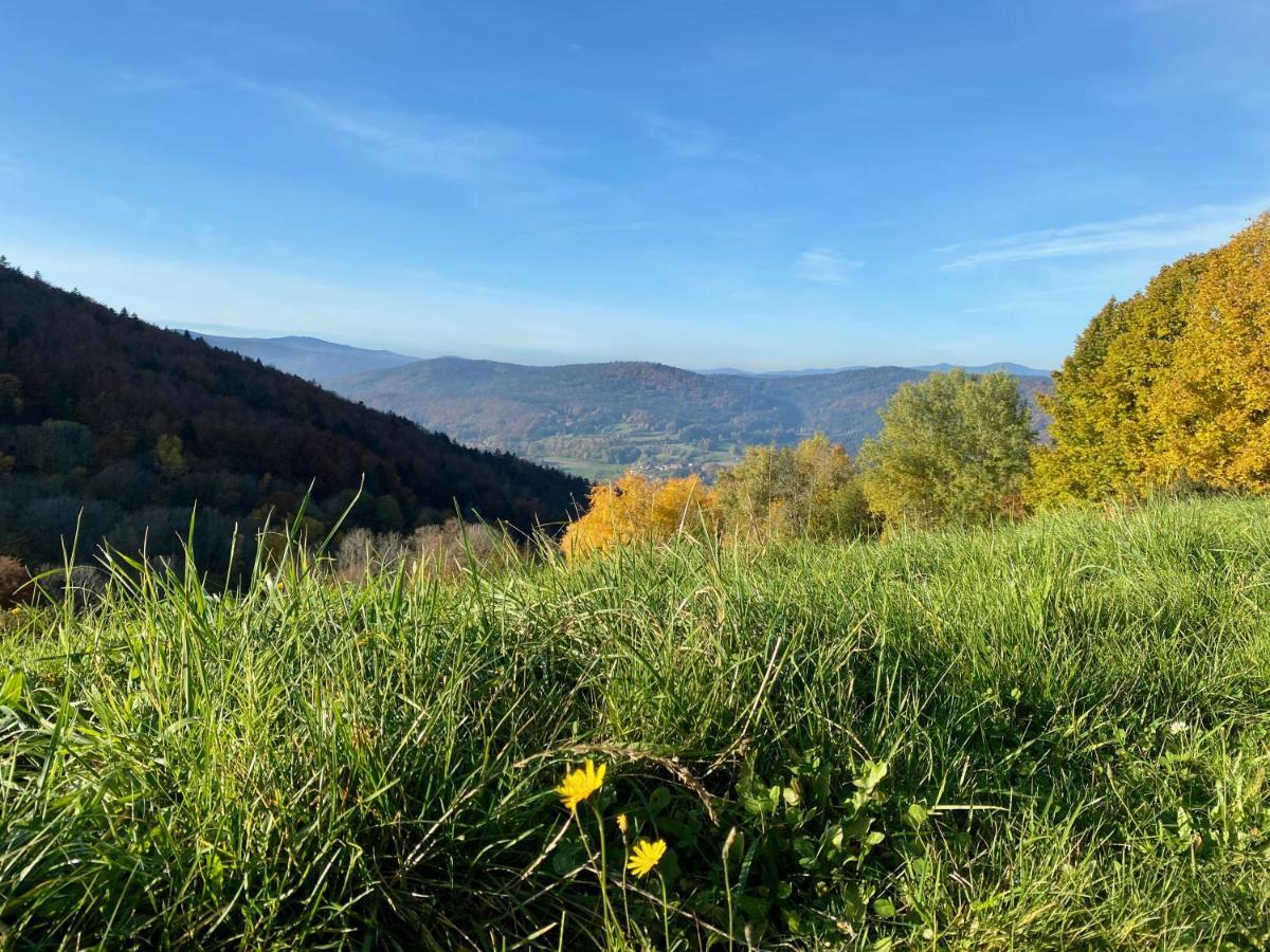 Ferienapartment 38 Sonnenwald Oberlangfurth 외부 사진