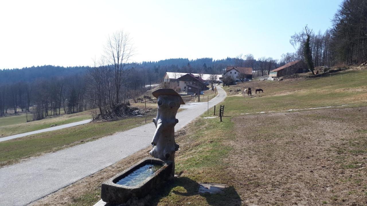 Ferienapartment 38 Sonnenwald Oberlangfurth 외부 사진