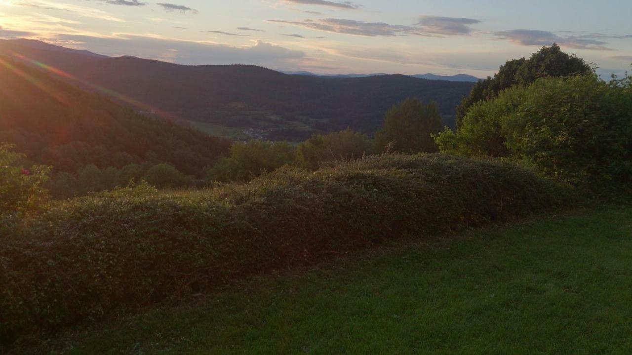 Ferienapartment 38 Sonnenwald Oberlangfurth 외부 사진